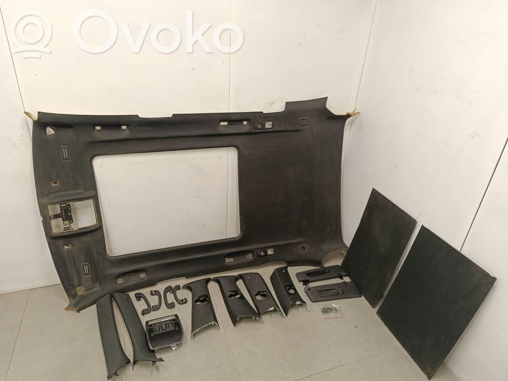 BMW X5 E70 Потолок 