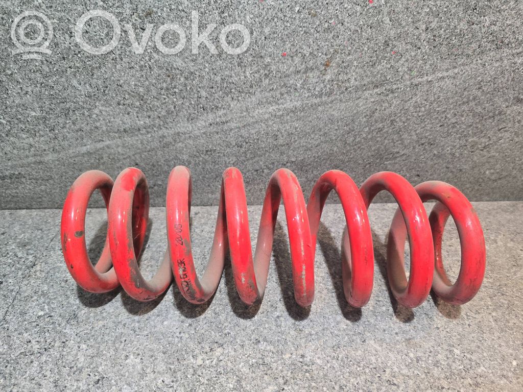 Rear coil spring