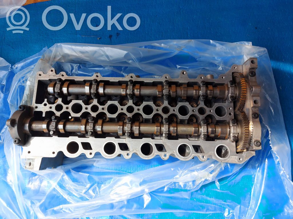 Galva   31401466