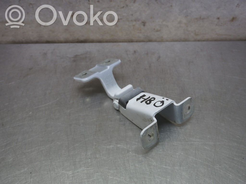Renault Kangoo II Front door upper hinge 