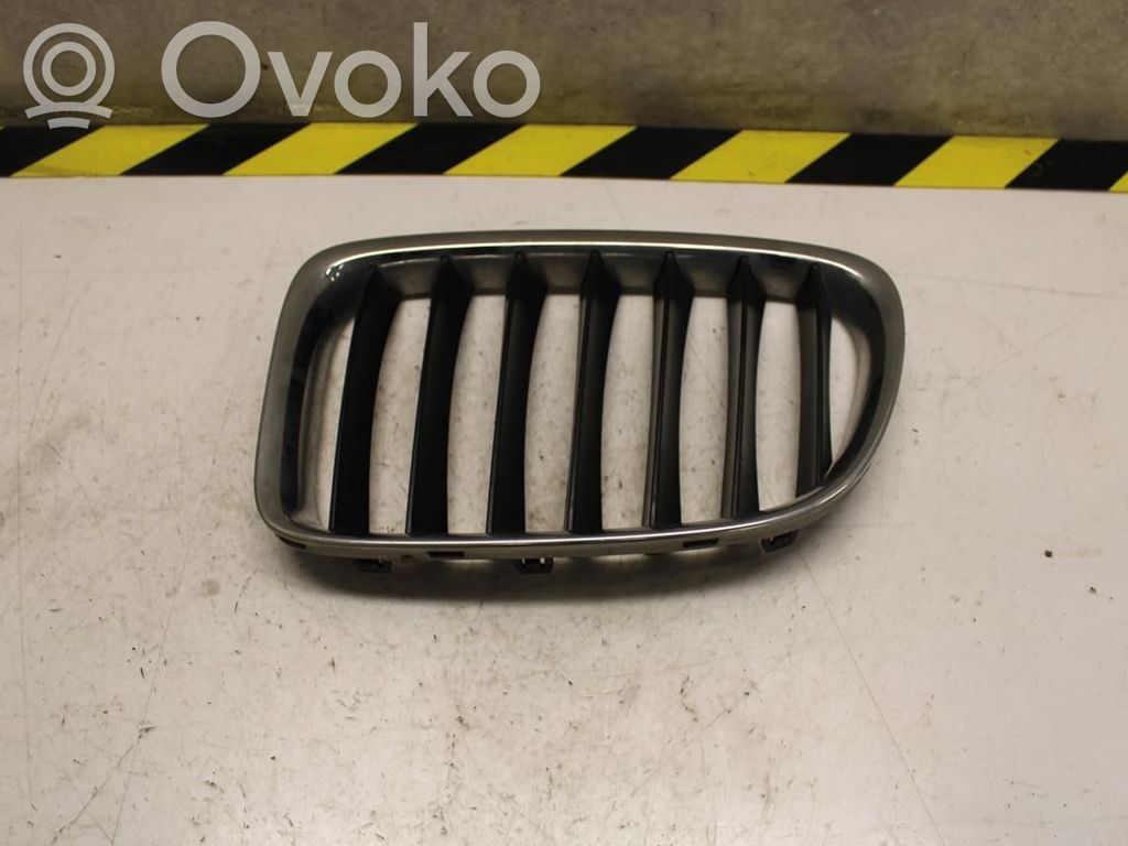 BMW X1 E84 Front bumper lower grill 