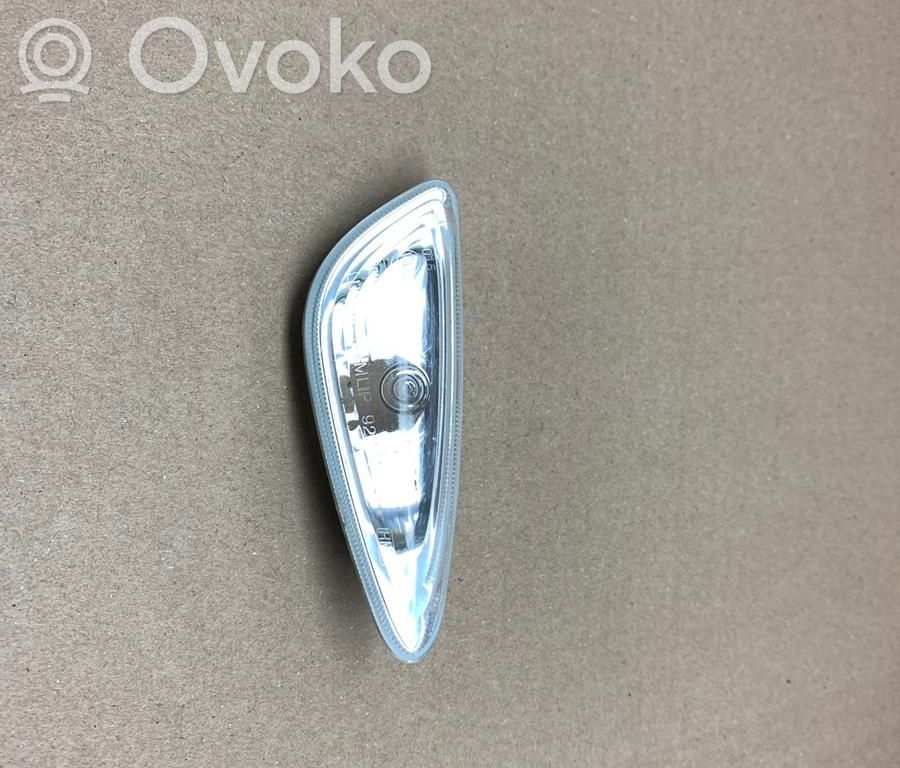 Seitenblinker   250771,92304B90