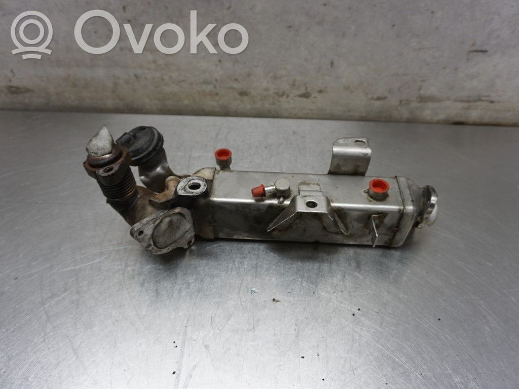 EGR dzesētājs   11717810751,N019120