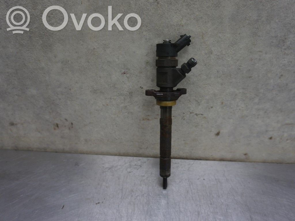 Inyector de combustible   36002236,173068
