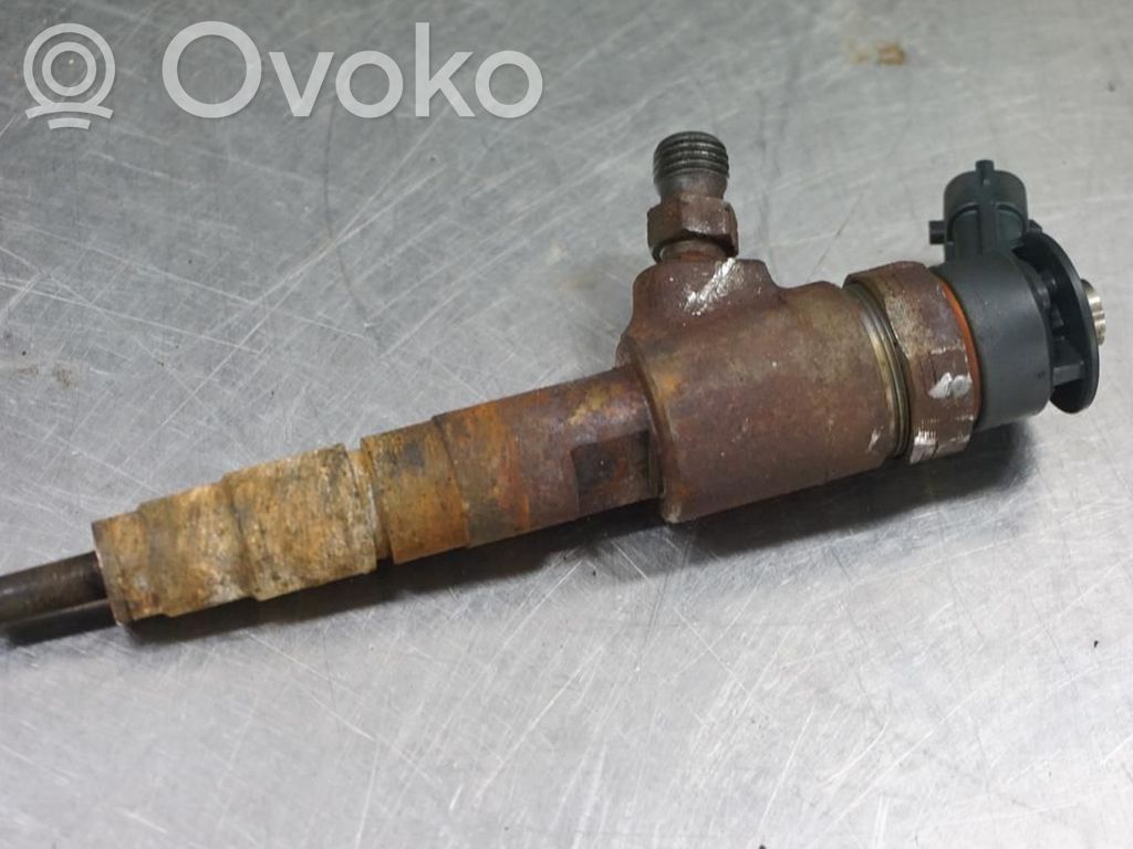 Inyector de combustible   1703287,173146
