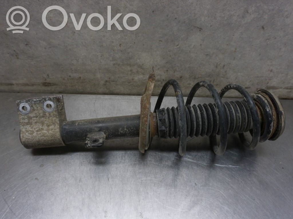 Amortyzator osi przedniej ze sprężyną   1623342580,N010595
