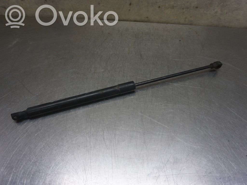 Tailgate strut   844301324R,243967