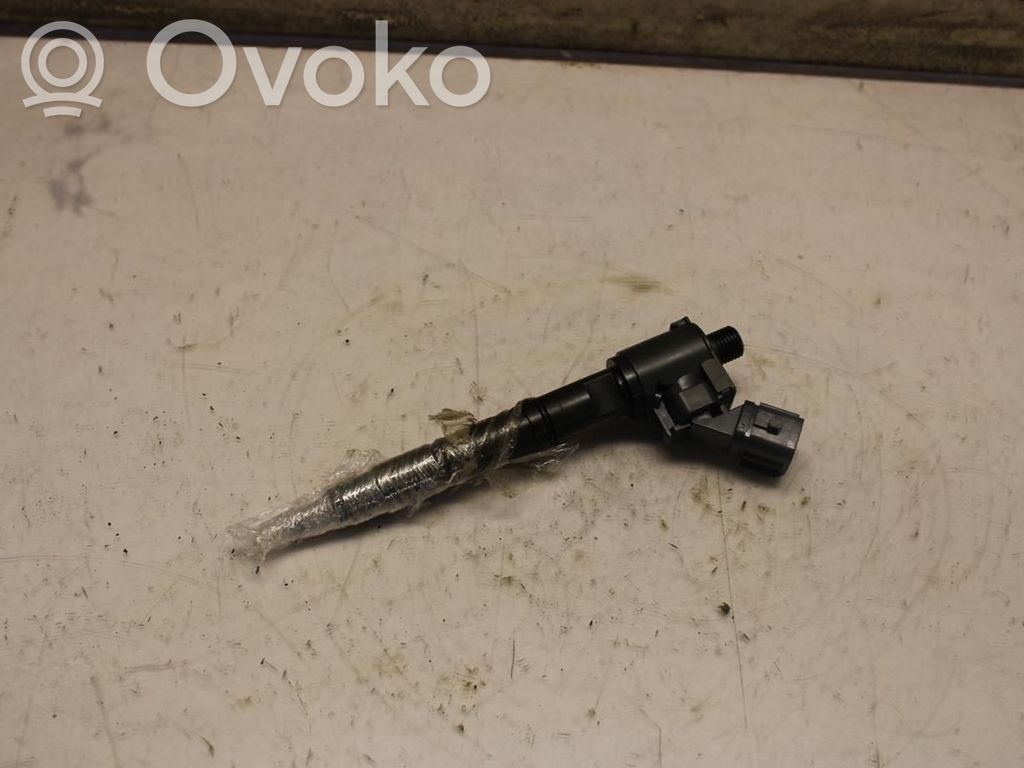 Inyector de combustible   36010045,N016464