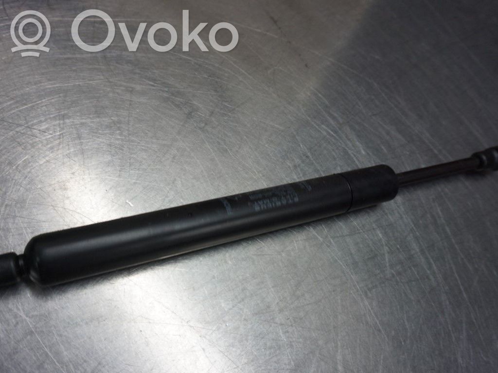 Tailgate strut   12778556,N031805