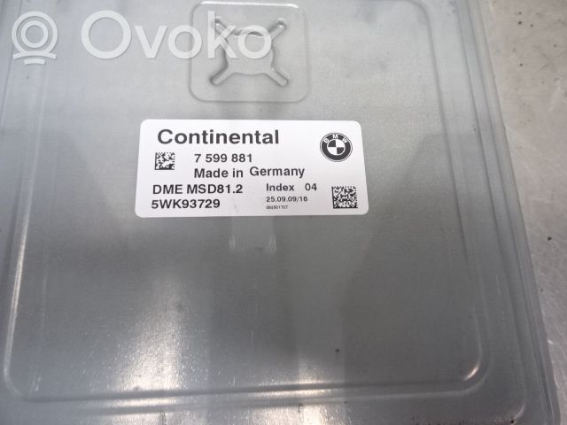 Injection control unit/module   12147579144,185798,12147507228