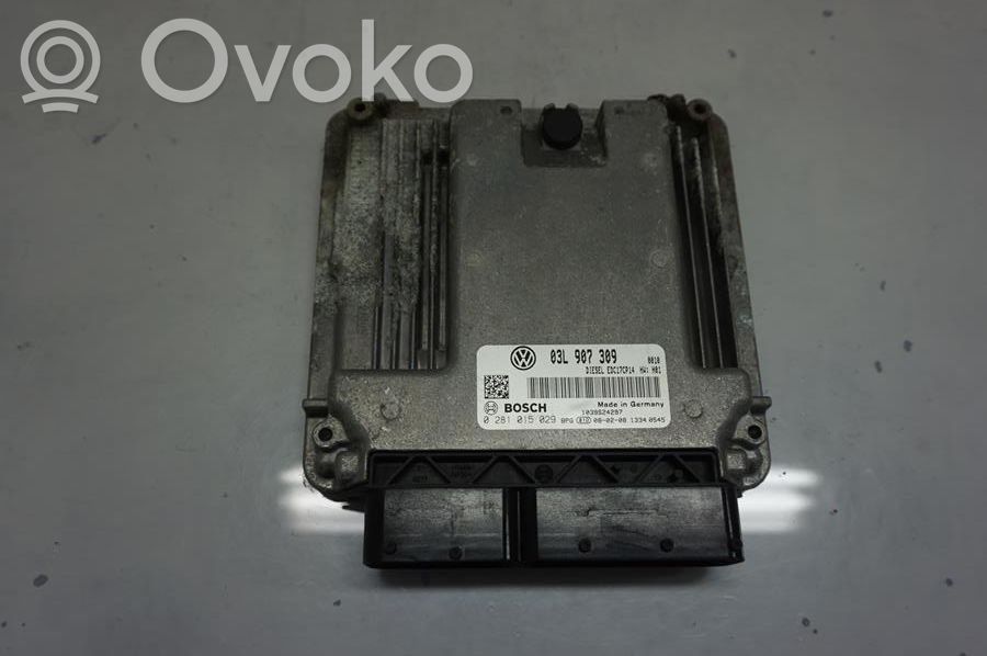 Volkswagen PASSAT B6 Sterownik / moduł wtrysku 