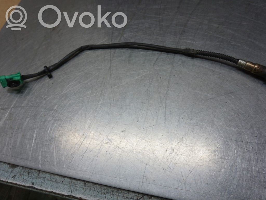 Lambda probe sensor   1628HN,184408