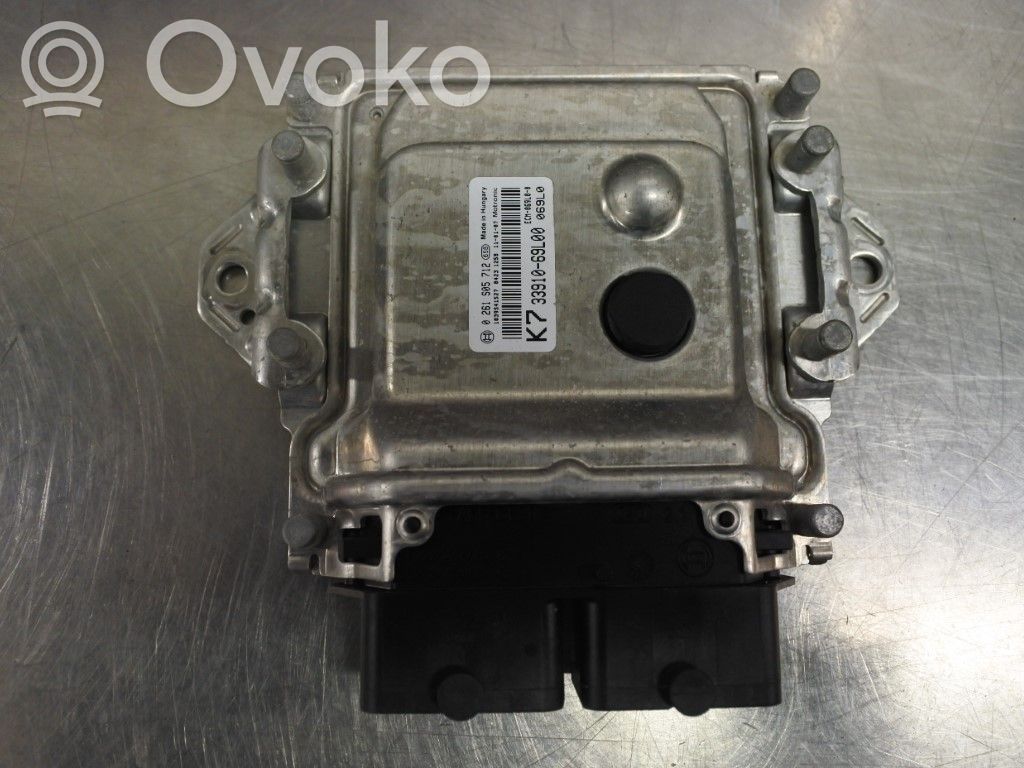 Sterownik / moduł wtrysku   3391069L01,N000079,0261S07288