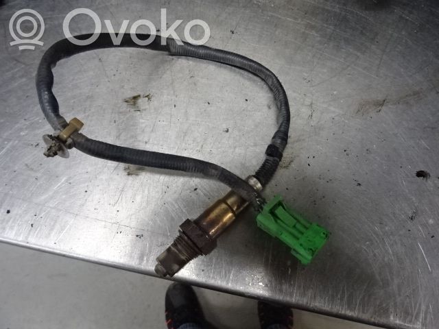 Lambda probe sensor   1618HC,184937