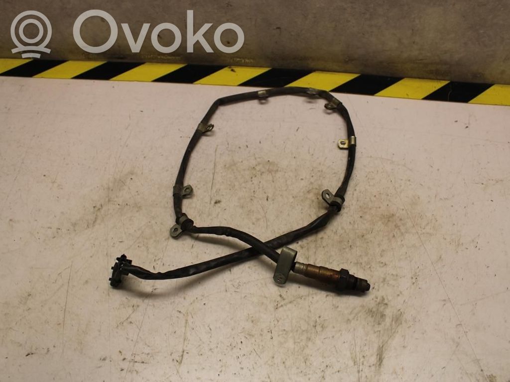 Lambda probe sensor   180915,N055606