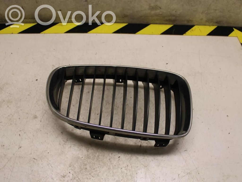 BMW 1 E81 E87 Front bumper lower grill 