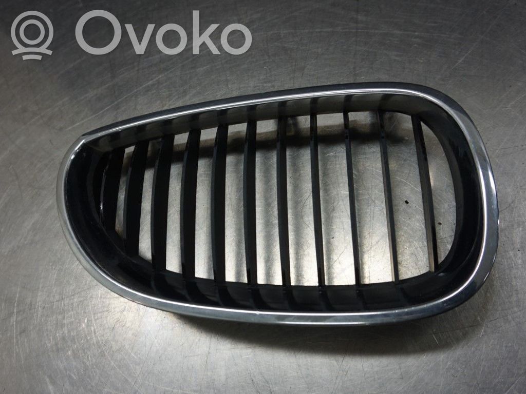 BMW 5 E60 E61 Etupuskurin alempi jäähdytinsäleikkö 
