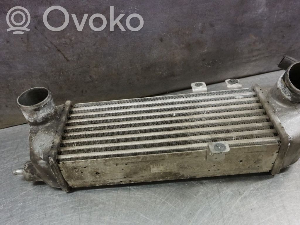 Interkūlerio radiatorius   282702A611,174007,96562