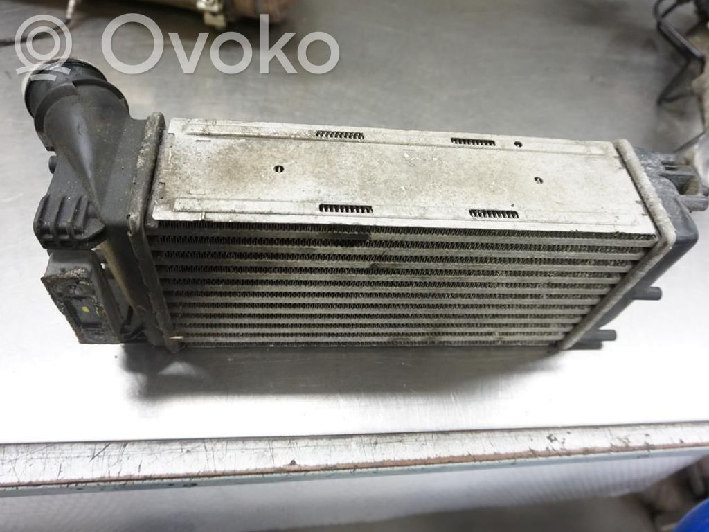 Interkūlerio radiatorius   0384L4,174049