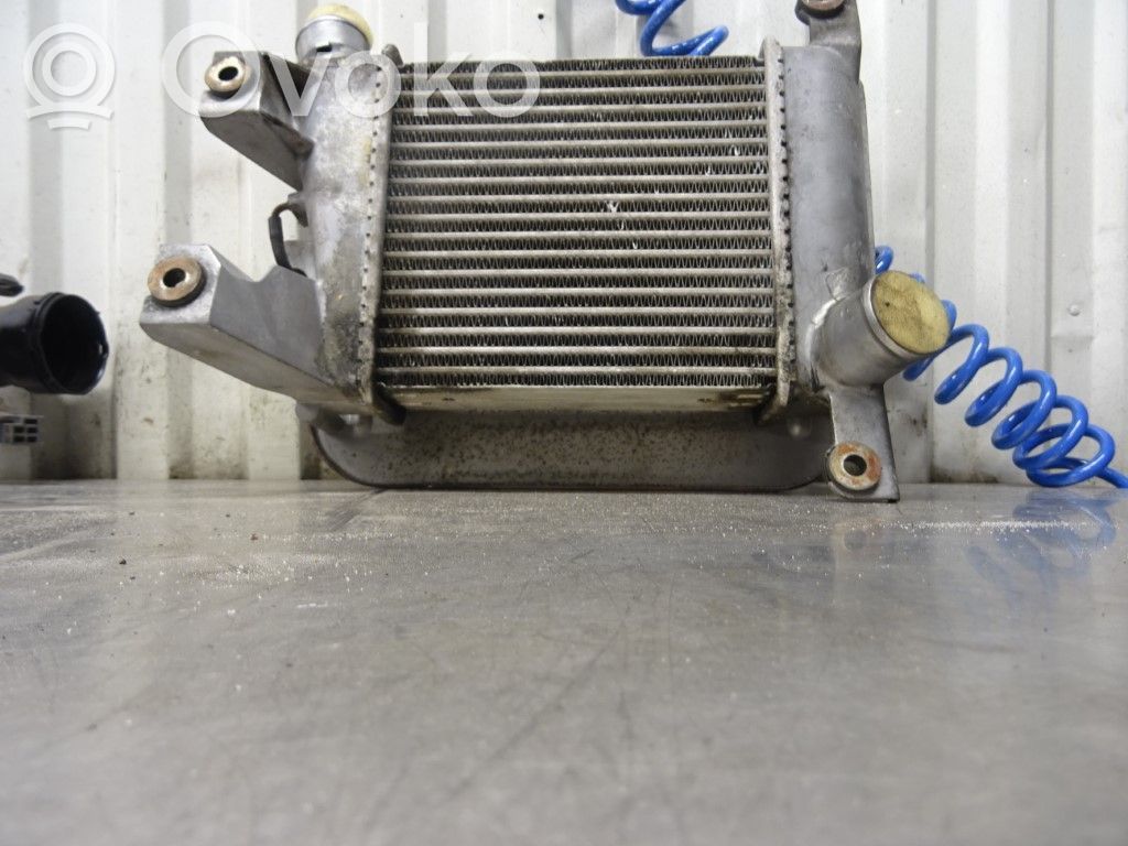 Radiatore intercooler   14461VK500,174043