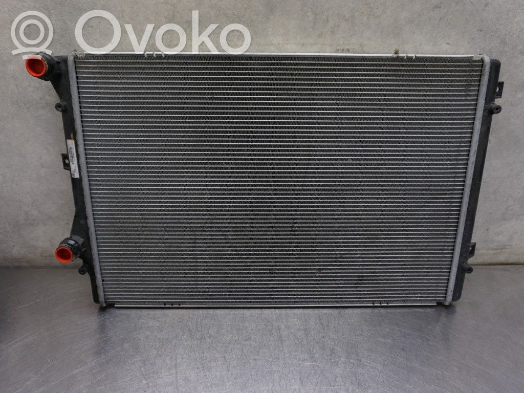 Volkswagen PASSAT B6 Radiatore di raffreddamento