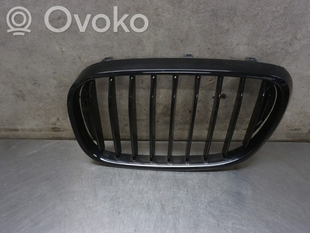 Kratka dolna zderzaka przedniego   51138065539,241359