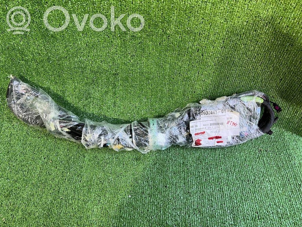 Tesla Model X Arnés de cableado de la puerta trasera/maletero 