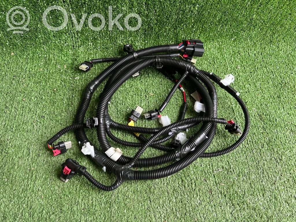 Cableado del sensor de aparcamiento (PDC)   206795800B