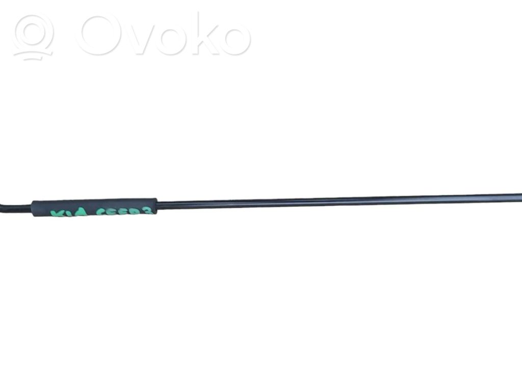 Atraminė variklio dangčio kojelė