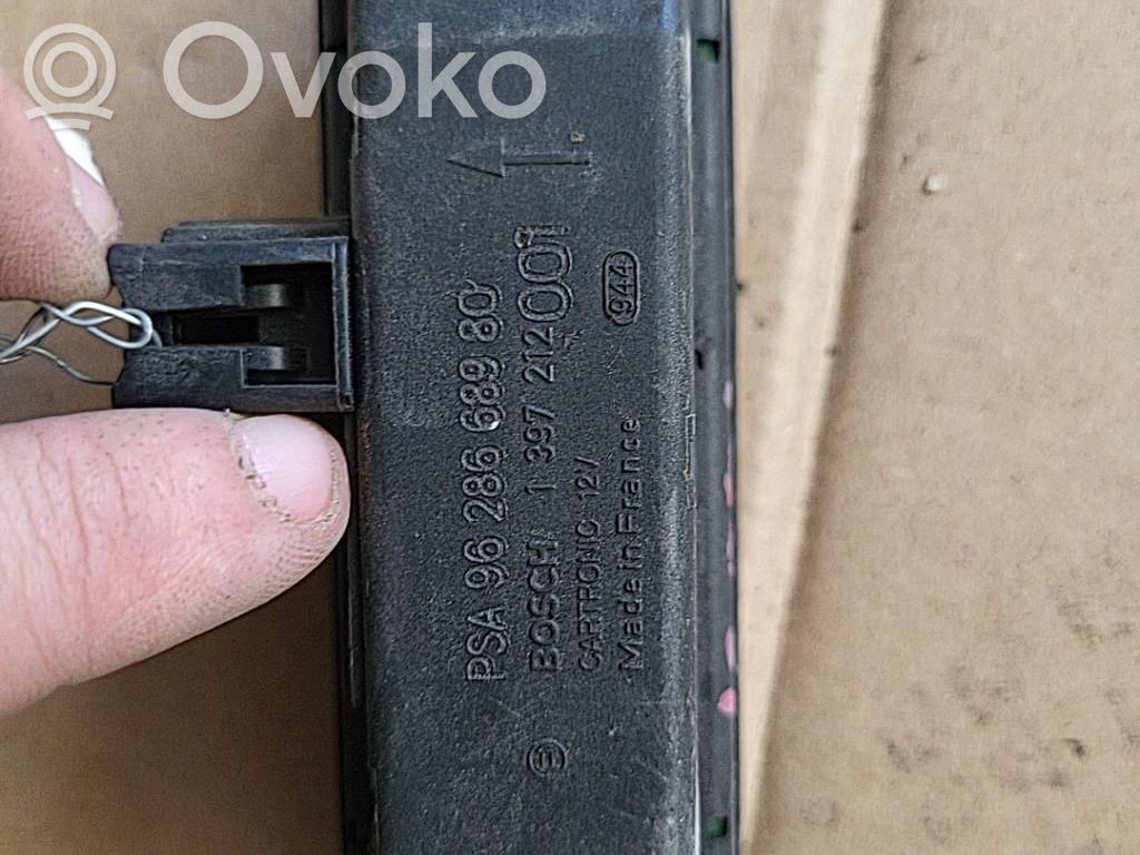 Peugeot 206 Regensensor 