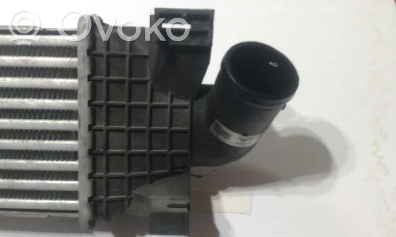 Intercooler radiator   0005209
