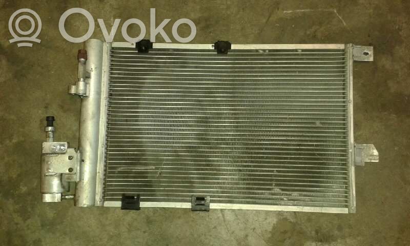 Radiator răcire A/C (condensor)   10060471