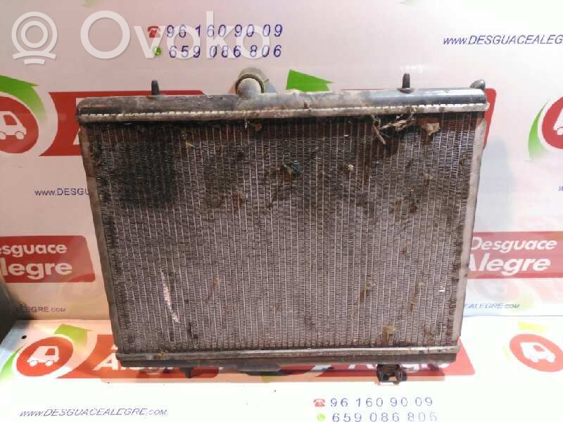 Radiador del refrigerante   RA0210380