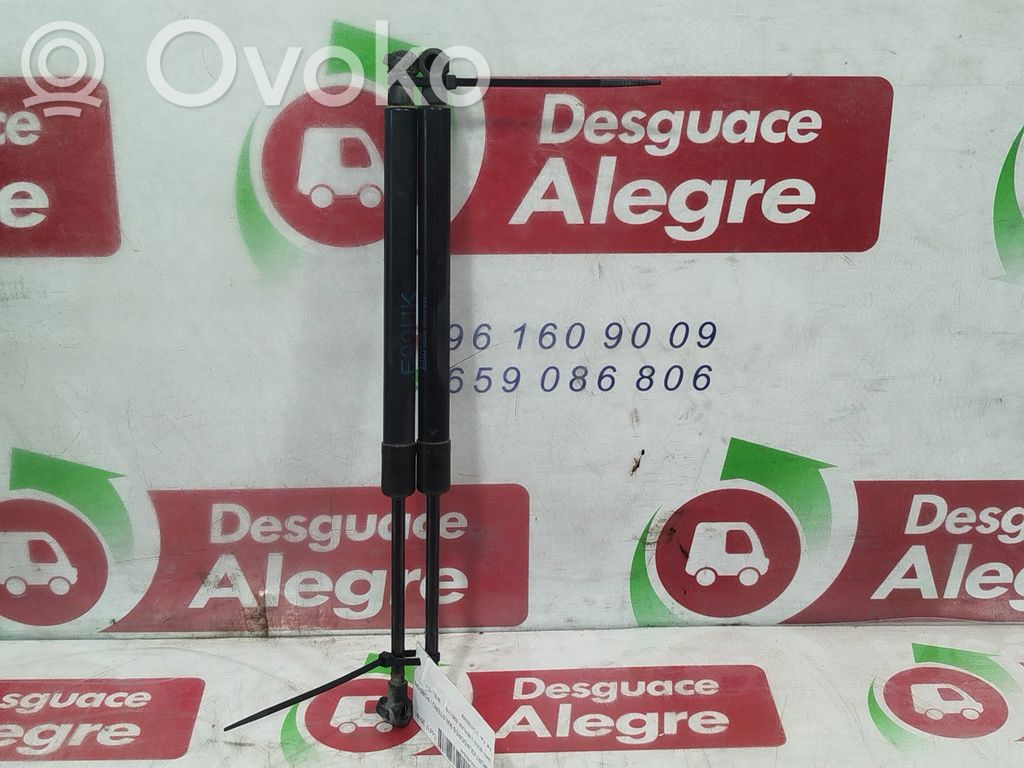 Amortyzator klapy tylnej bagażnika   51247250308