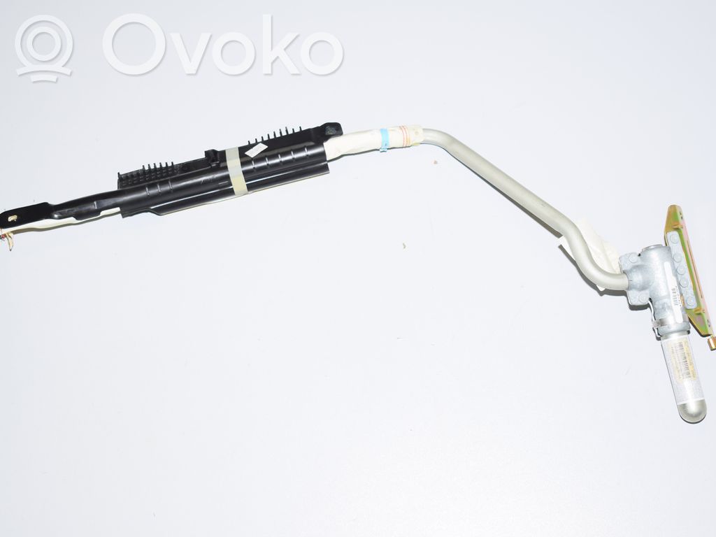 BMW X5 E53 Airbag del techo 