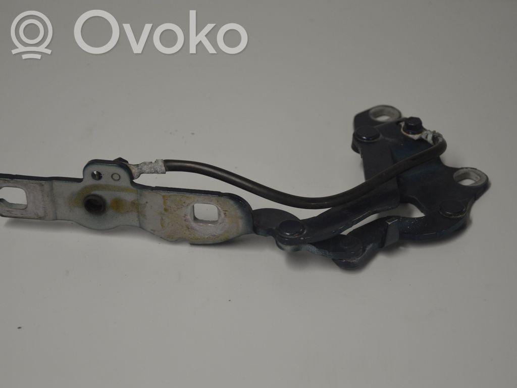 Bisagras del capó/tapa del motor   7060559