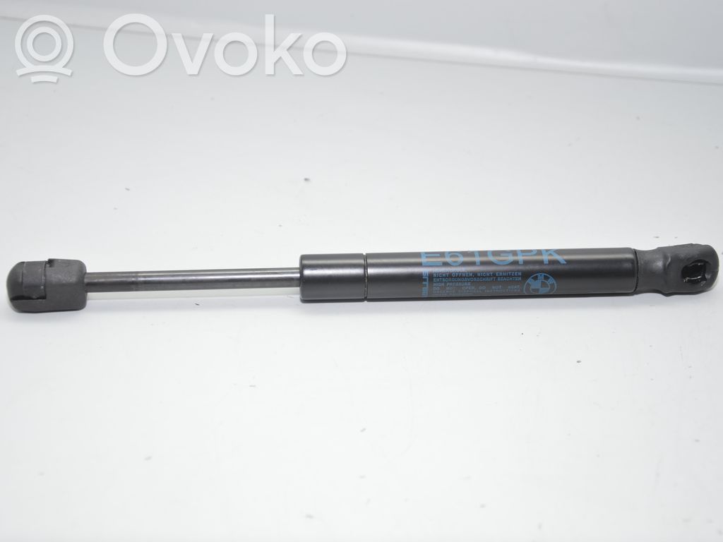 Bagažinės grindys   7148826