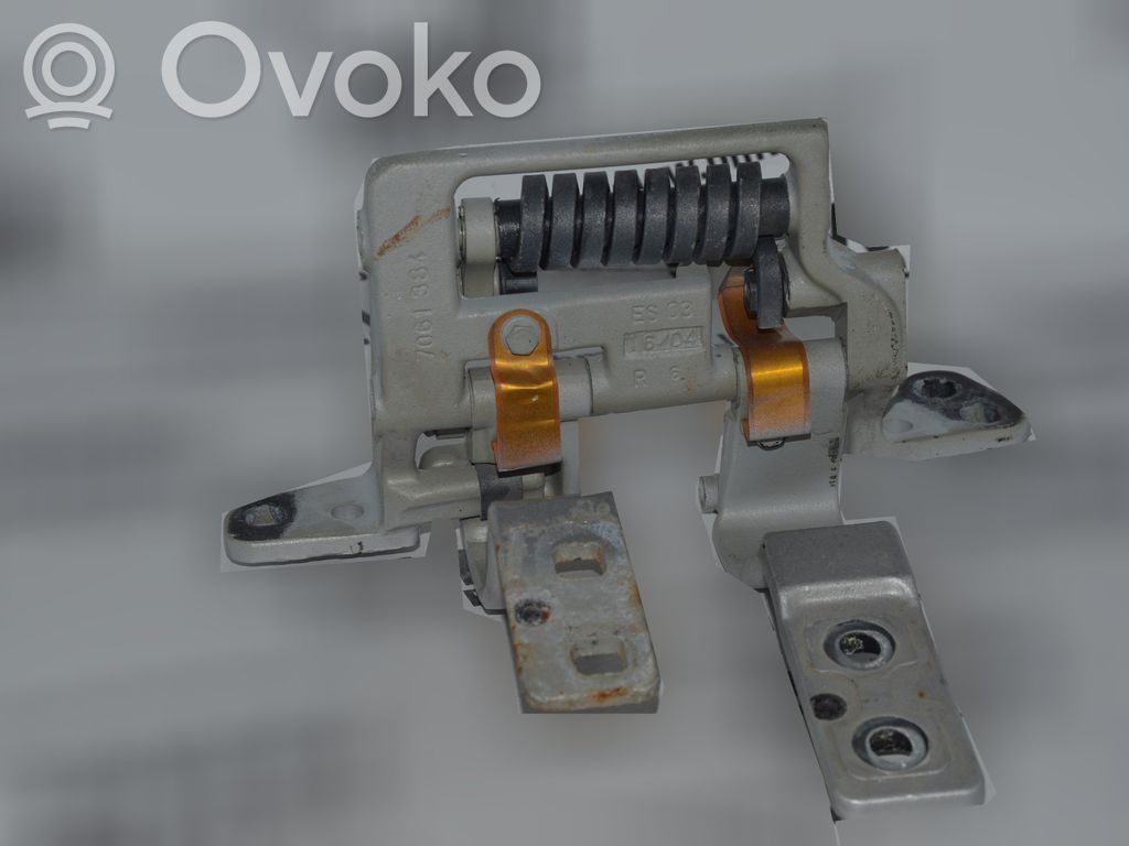 Tailgate/trunk/boot hinge   7061384