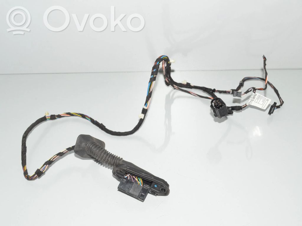 BMW X1 E84 Cableado de puerta trasera 