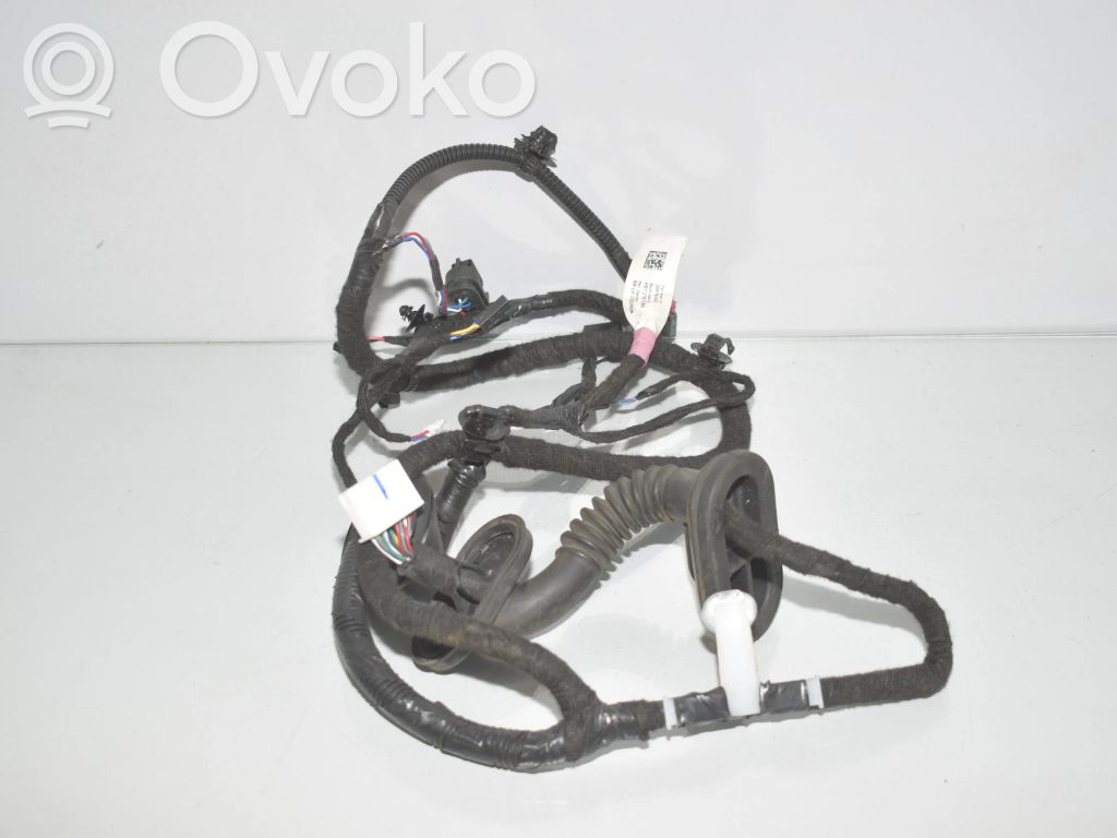 Cableado de puerta trasera   106796590D,1067965,206796500B,1098805,109880500B,2067965