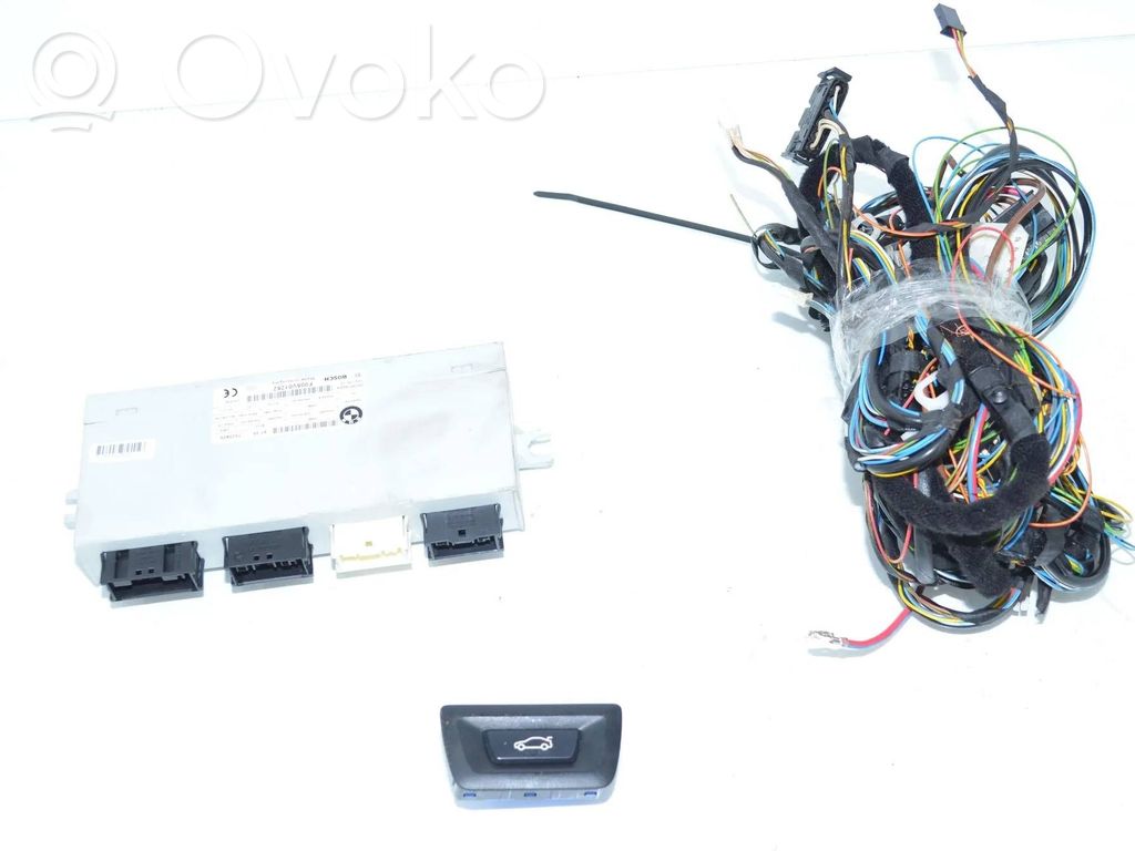 BMW 5 F10 F11 Sterownik / Moduł elektrycznej klapy tylnej / bagażnika 