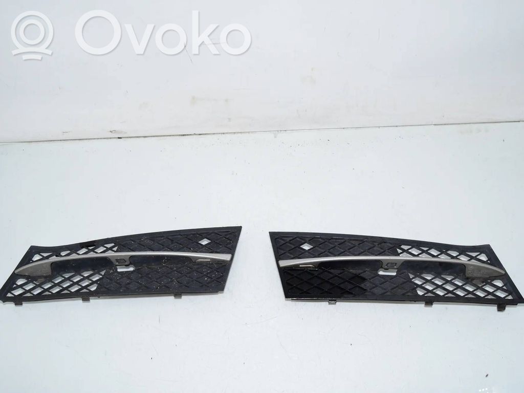 BMW 5 F10 F11 Mascherina inferiore del paraurti anteriore 