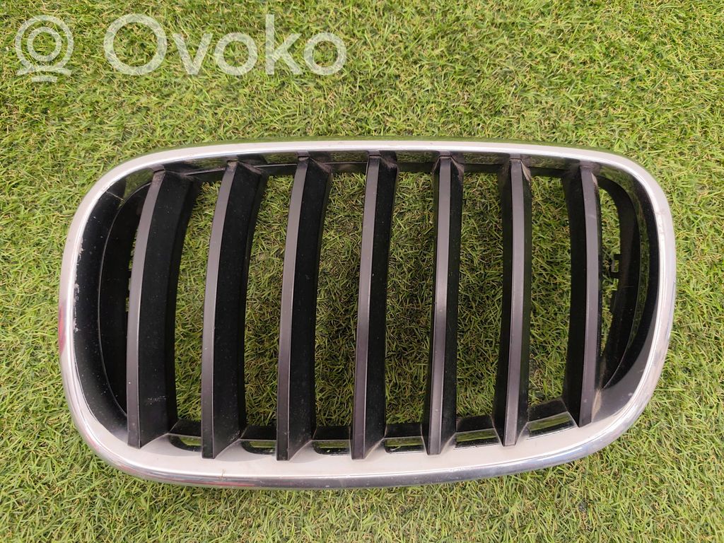 BMW X5 E70 Front bumper upper radiator grill 