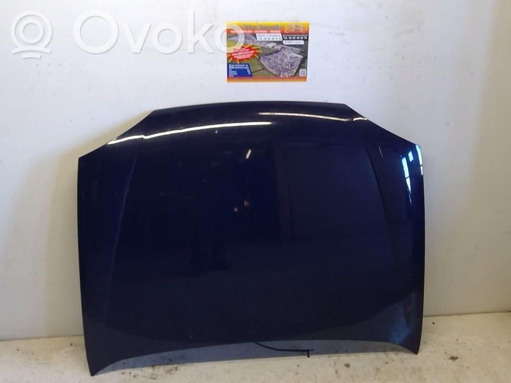 Ford Fiesta Konepelti 
