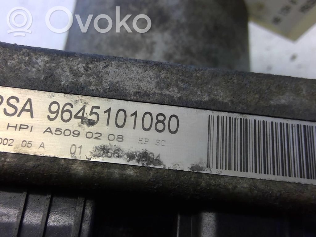 Peugeot 307 Servopumpe 
