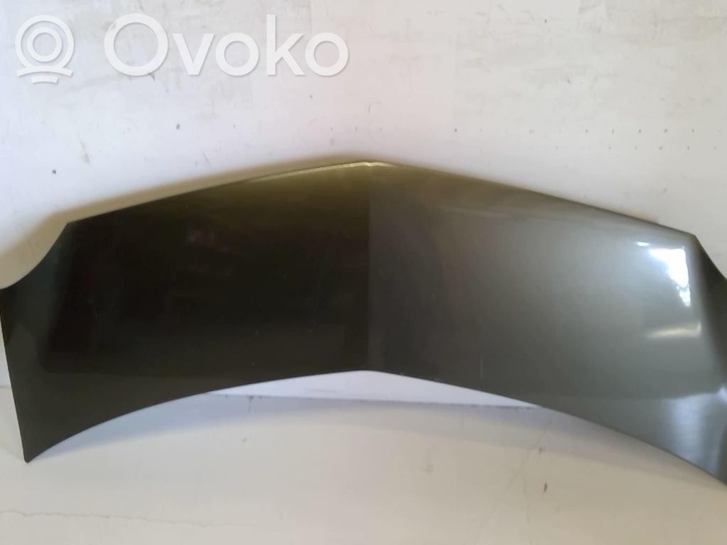 Dzinēja pārsegs (vāks)   7751475521