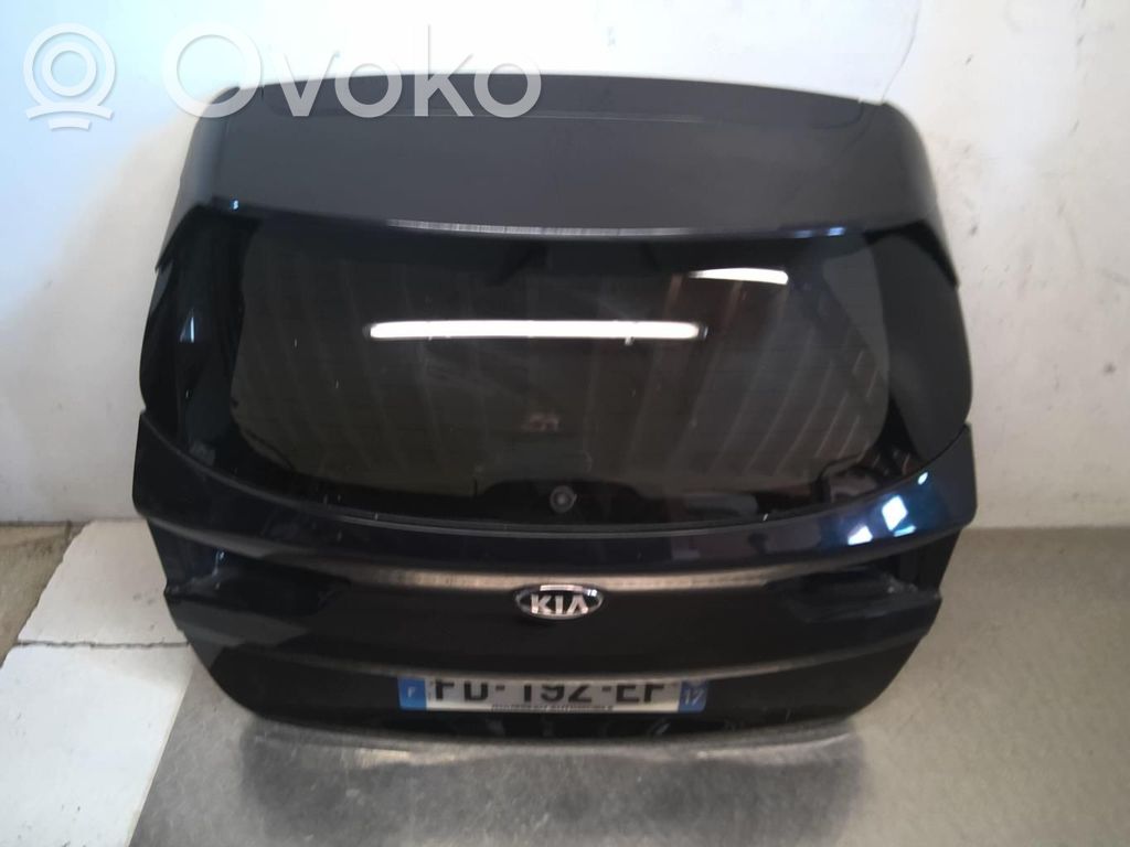 Tailgate/trunk/boot lid   73700D4310