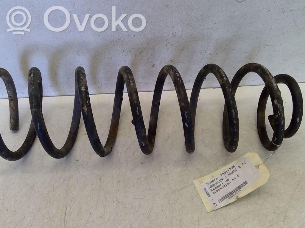 Front coil spring