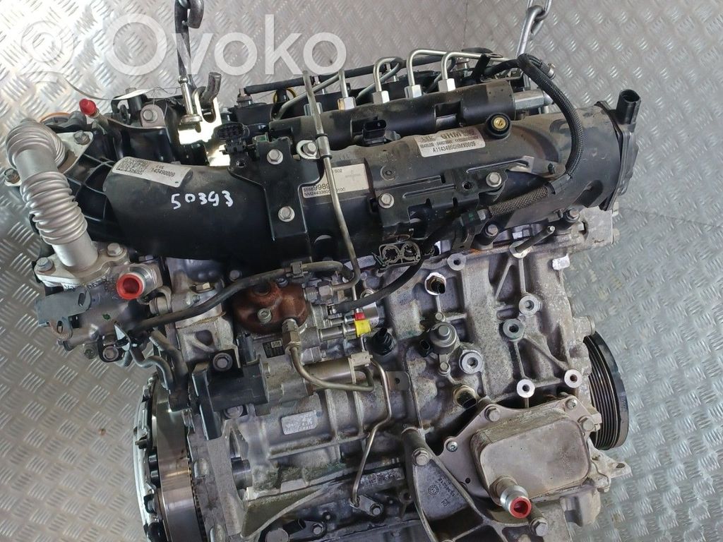 Variklis   55485232