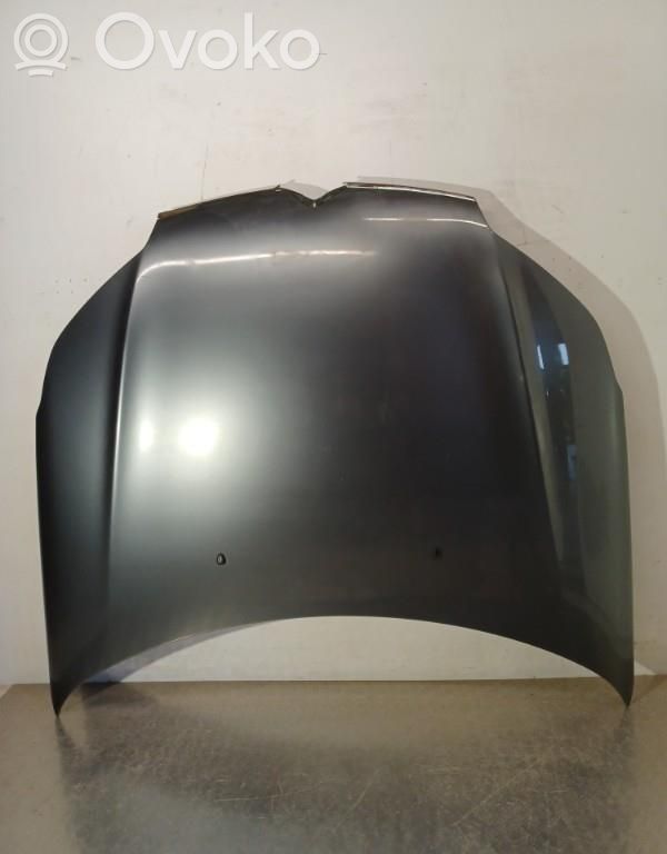 Vano motore/cofano   00007901P3